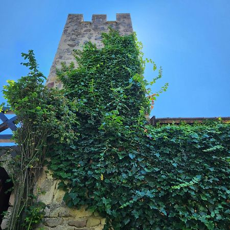 Facan-Lak Nograd Exterior foto